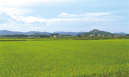 05부안석교리